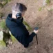 OKM Rover UC Walking Stick Detector