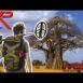 XP Metal Detector Backpack 280